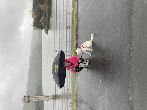 Woman and dog under umbrella in the rain in front of body of water. 